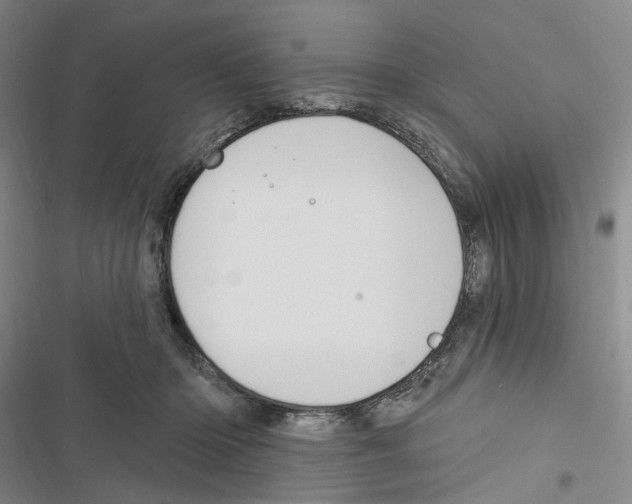 X0000116890414201001191809