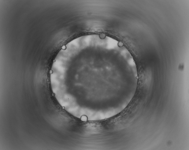 X0000116890415201001191809