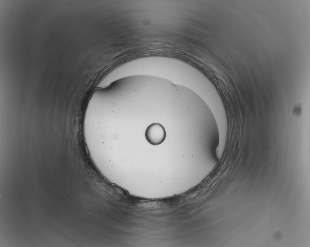 X0000116890417201001191809