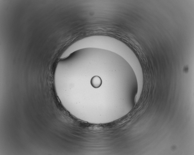 X0000116890419201001191809