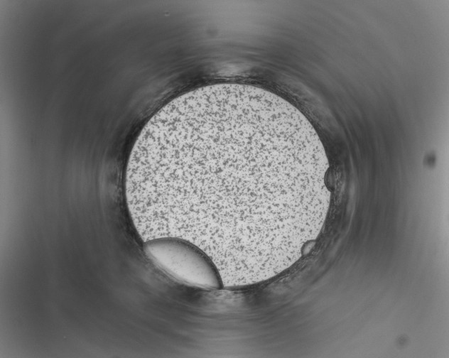 X0000116890421201001191809