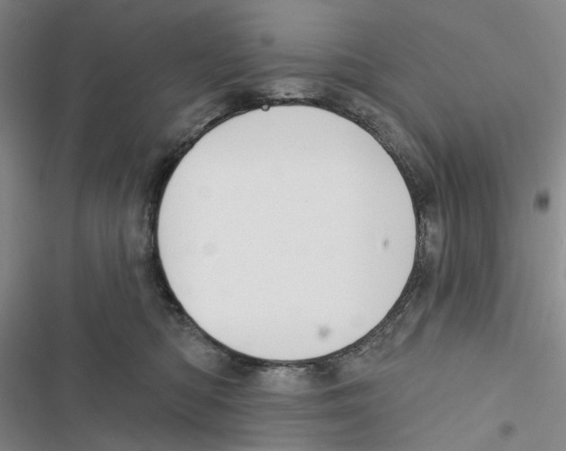 X0000116890422201001191809