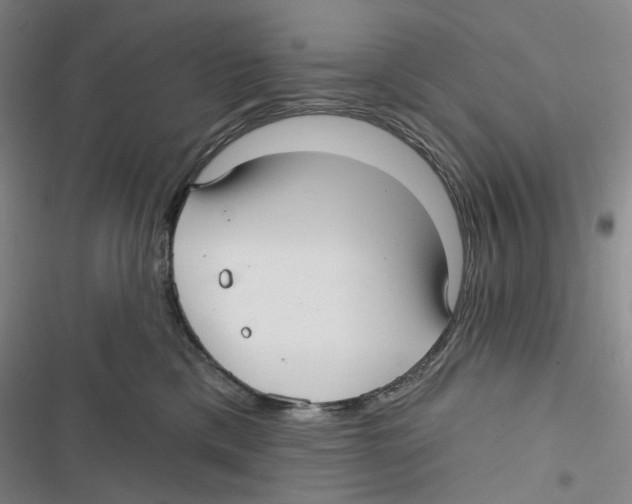 X0000116890425201001191809