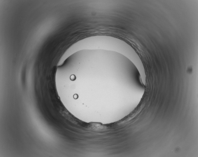 X0000116890429201001191809