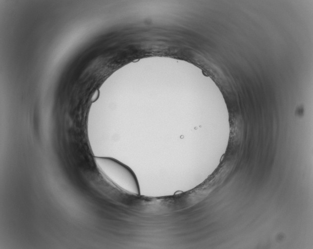 X0000116890430201001191809