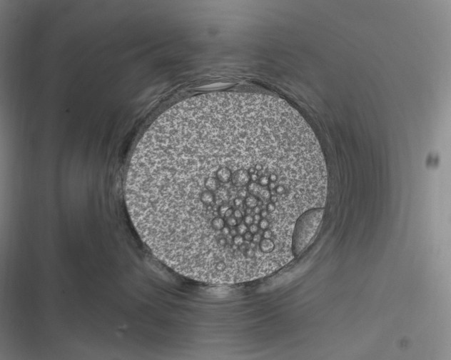 X0000116890432201001191809