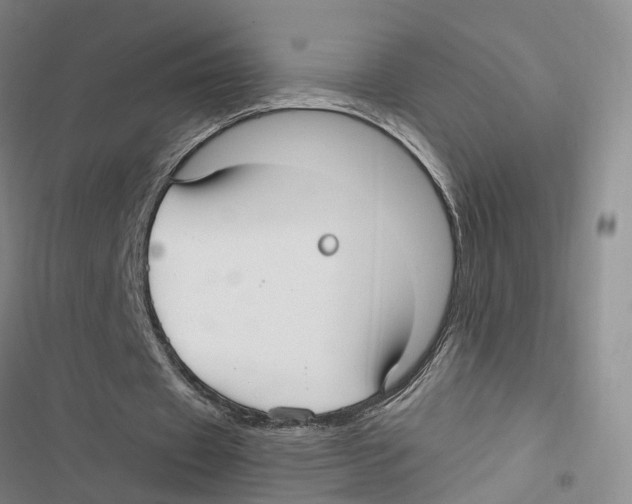 X0000116890433201001191808