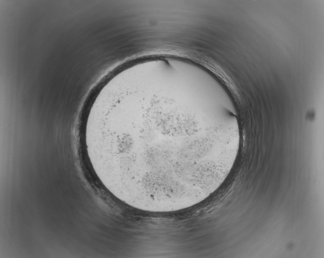 X0000116890436201001191809