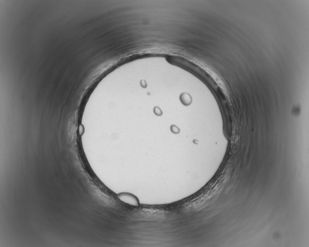 X0000116890437201001191809