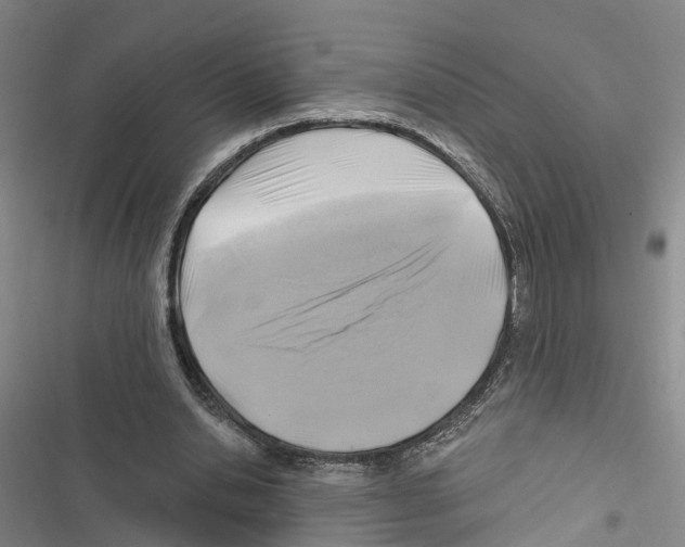 X0000116890438201001191809