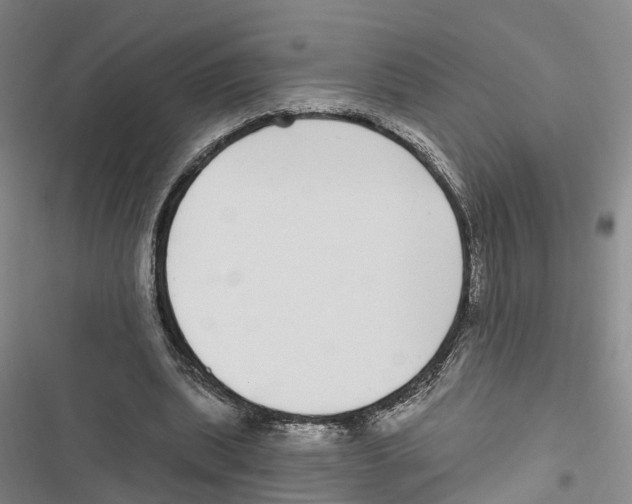 X0000116890439201001191809