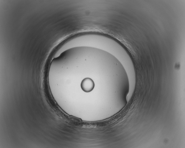 X0000116890440201001191809