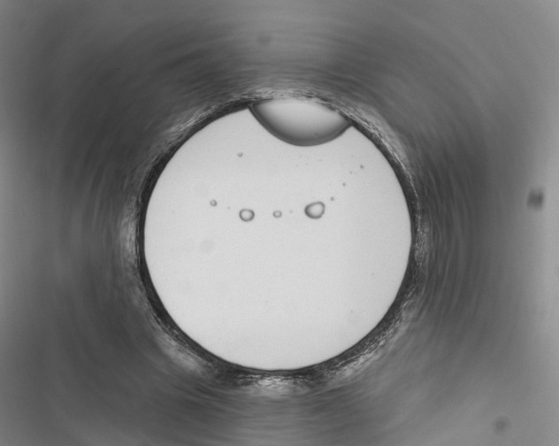 X0000116890441201001191809