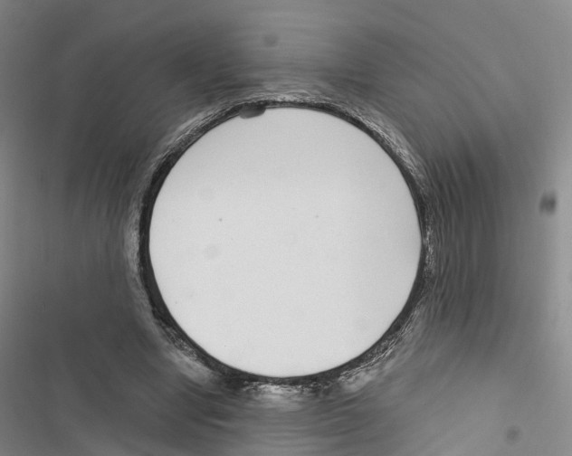 X0000116890442201001191809