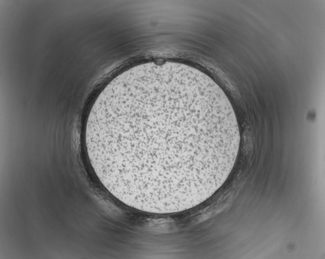 X0000116890446201001191809