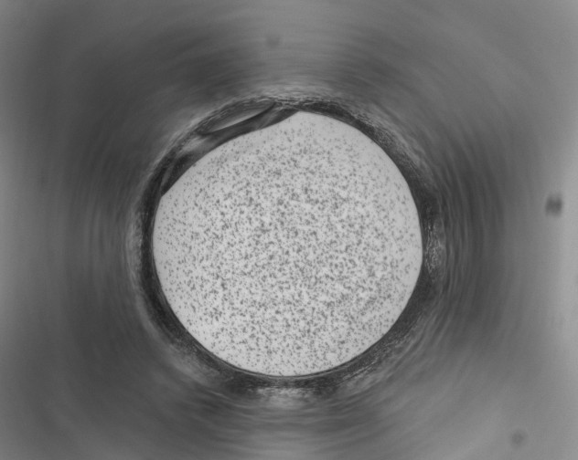 X0000116890448201001191809