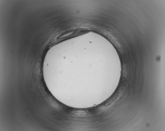 X0000116890449201001191809