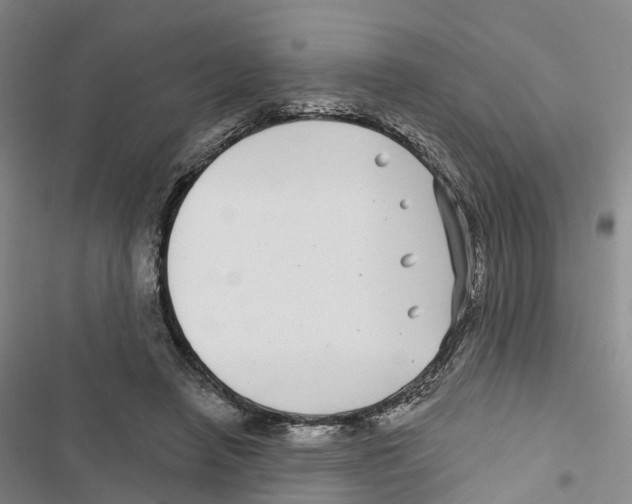 X0000116890450201001191809