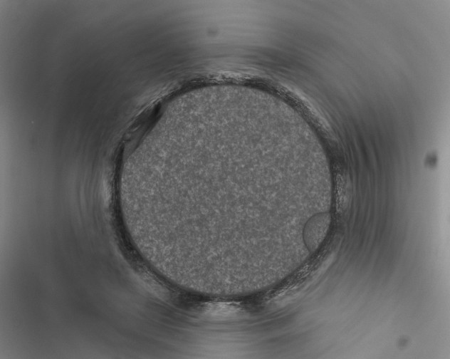 X0000116890451201001191809