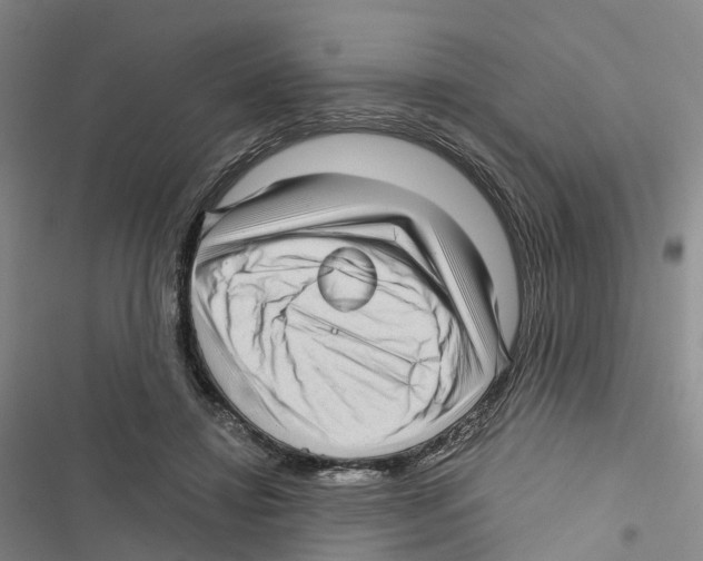 X0000116890452201001191809