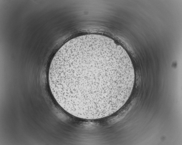 X0000116890453201001191809