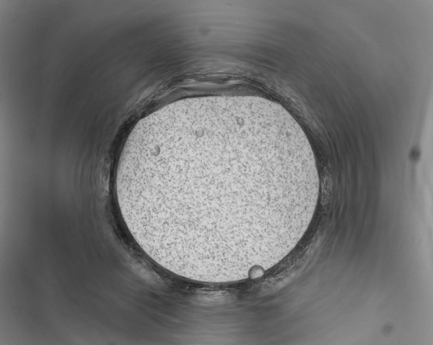 X0000116890454201001191809