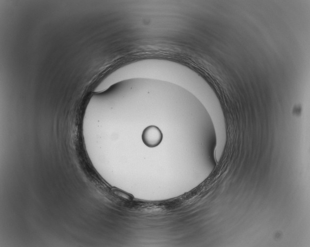 X0000116890456201001191809