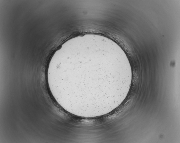 X0000116890457201001191809