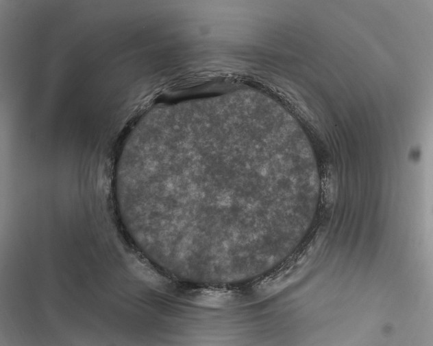 X0000116890458201001191809