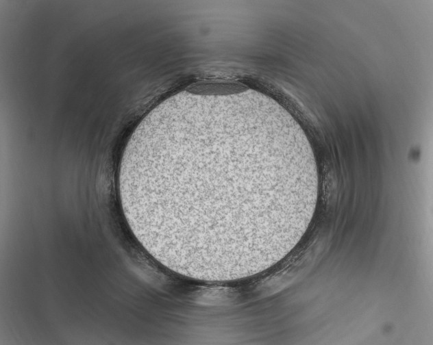 X0000116890459201001191809