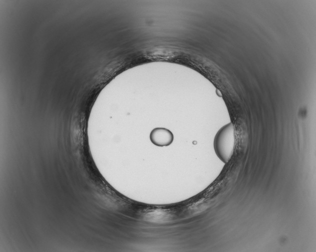 X0000116890460201001191809