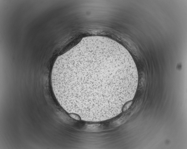 X0000116890461201001191809