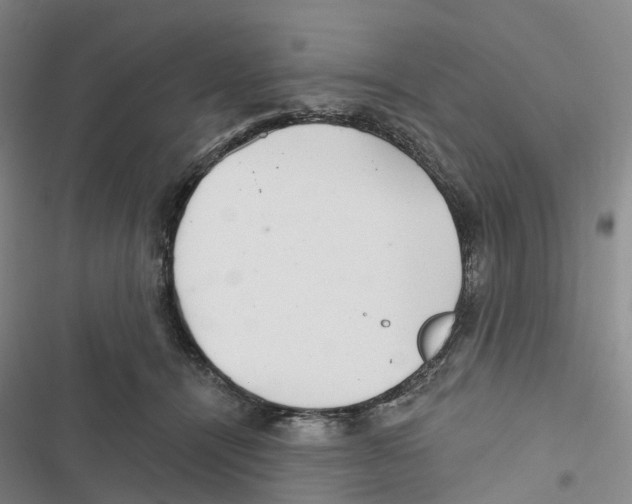 X0000116890464201001191809