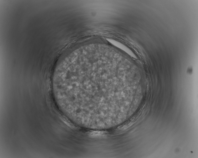 X0000116890465201001191809