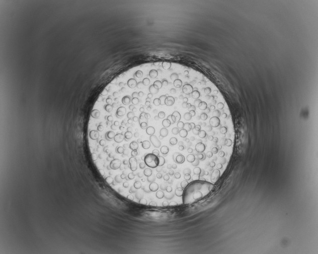 X0000116890466201001191809