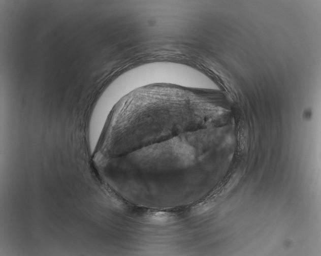 X0000116890467201001191809