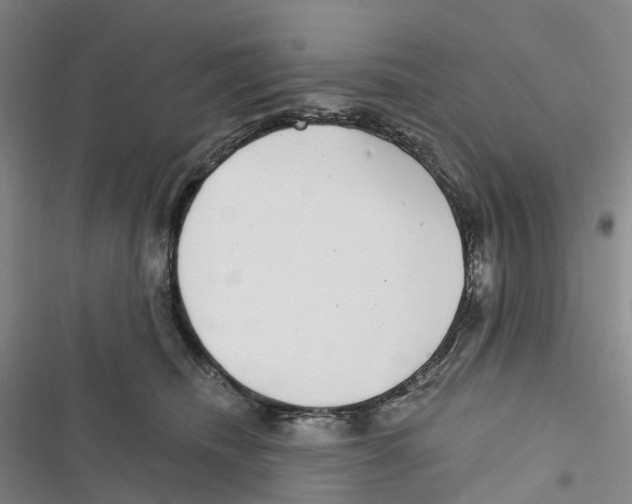 X0000116890468201001191809