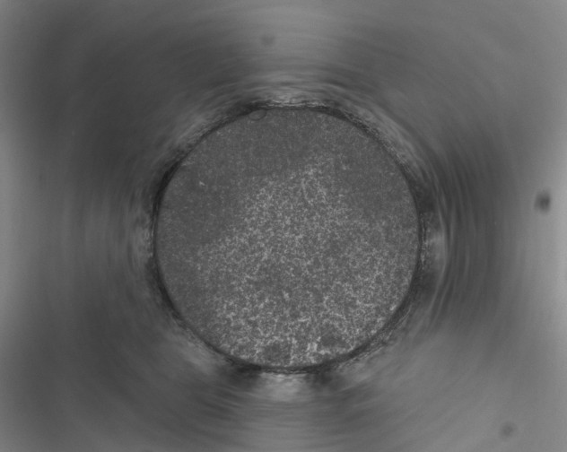 X0000116890469201001191809