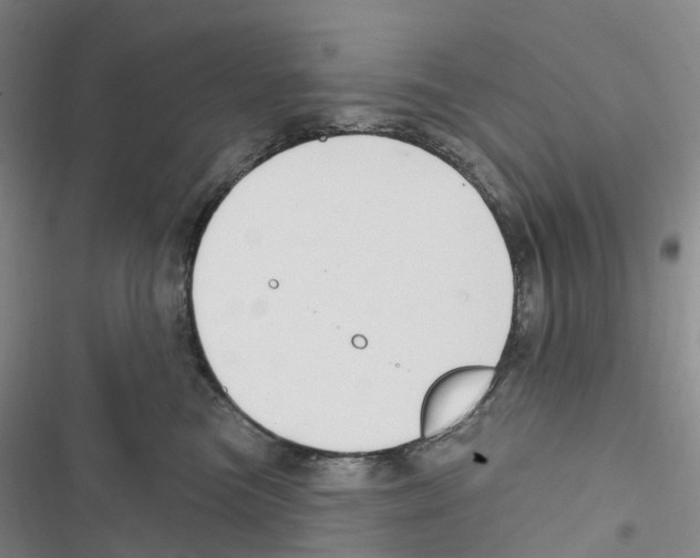 X0000116890473201001191809