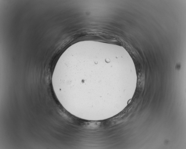 X0000116890474201001191809