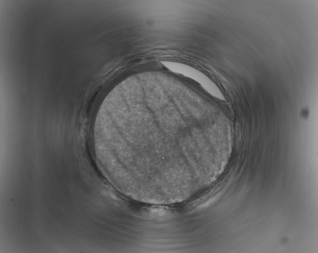 X0000116890475201001191809