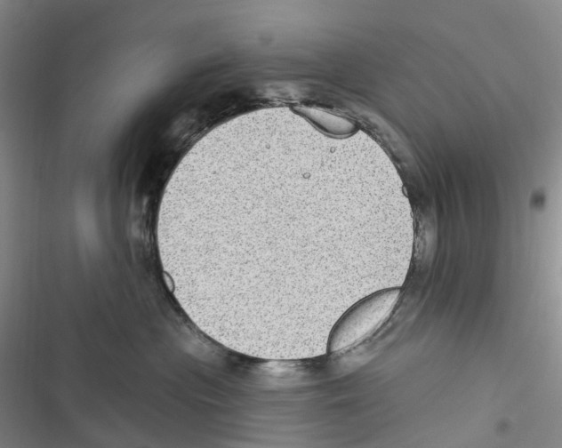 X0000116890477201001191809