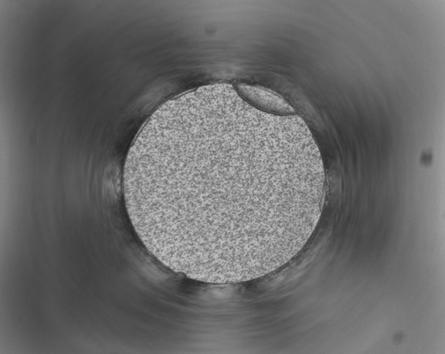 X0000116890479201001191809