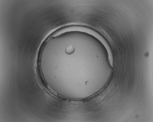 X0000116890484201001191808