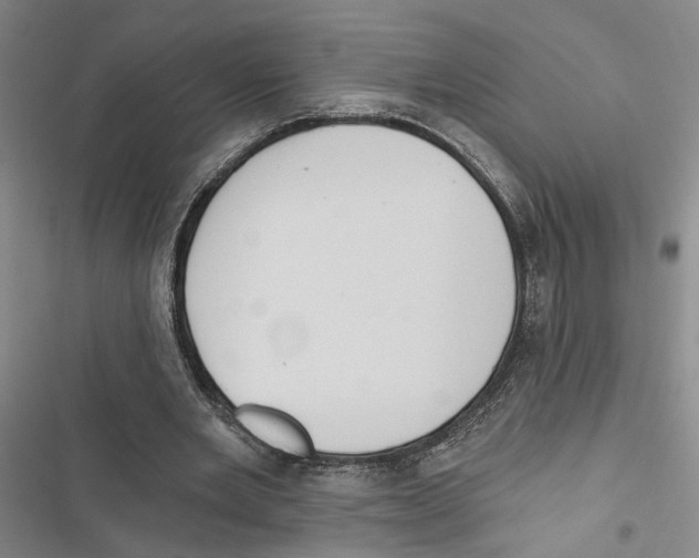 X0000116890485201001191808