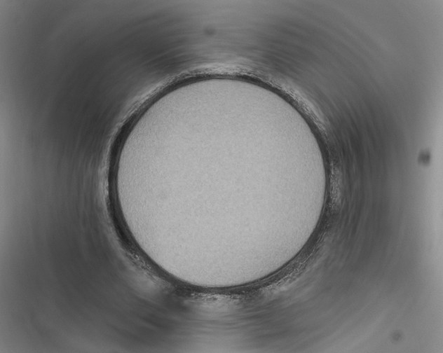 X0000116890486201001191808