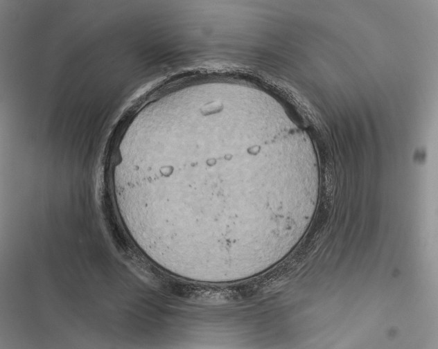 X0000116890488201001191808