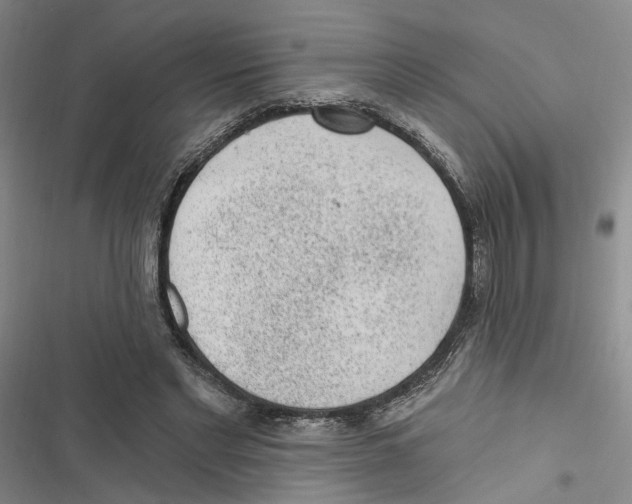 X0000116890493201001191808