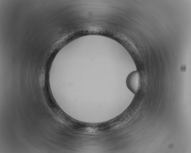 X0000116890496201001191808