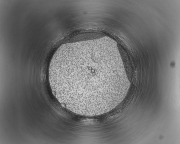 X0000116890499201001191808